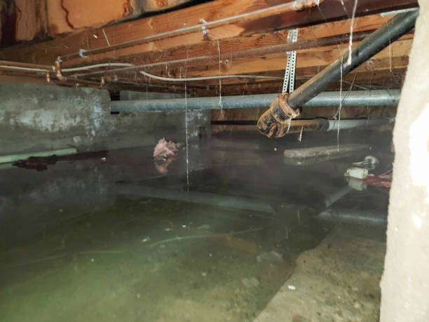 Best 24-hour water damage restoration  in Middletown, IN