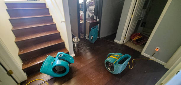 Best Water damage cleanup near me  in Middletown, IN
