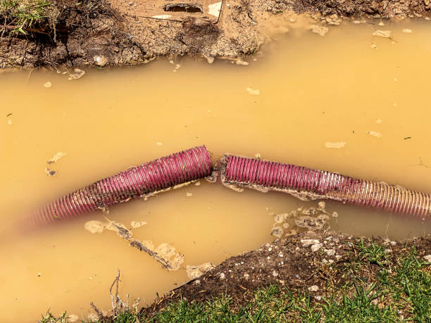 Best Water damage restoration near me  in Middletown, IN
